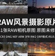 大象传媒2021精品-大象传媒2021精品，匠心独运，引领文化新风尚