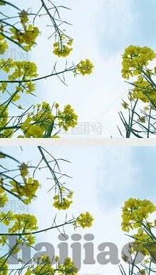 大象传媒官网1000-探索大象传媒官网的深度与广度，一个创意与技术的交汇点