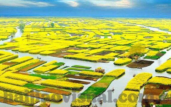 国产麻豆精品一av-并非偶然相遇，国产麻豆精品一AV的细品与深思