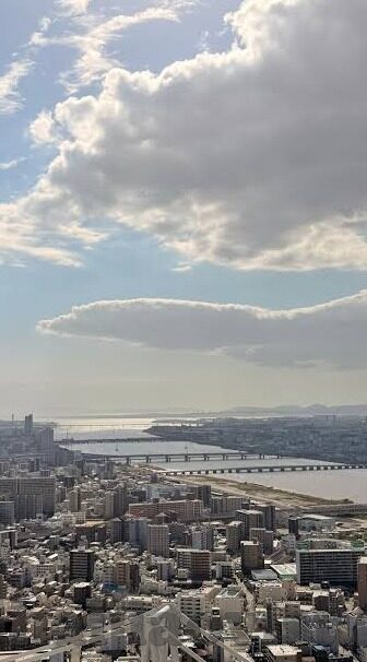 糖心app是不是诈骗-解析糖心app背后的事实，真假谎言的交织