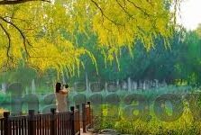 糖心视频app官网入口-探索糖心——解锁高质量视频内容的新视角
